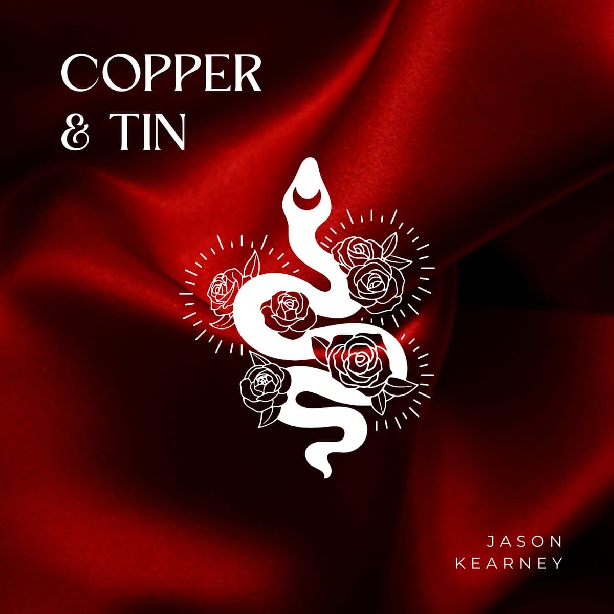 Copper and Tin Copper and Tin, the new single from Jason Kearney